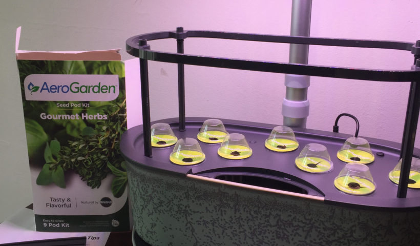 container garden ideas aerogarden bounty elite artisan those someday goals