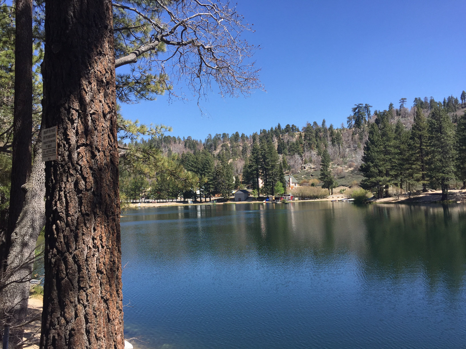 Mountain cabin rentals california green valley lake those someday goals