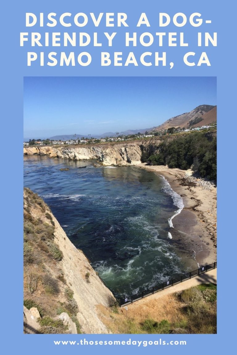 Looking for a DogFriendly Hotel in Pismo Beach? Those Someday Goals