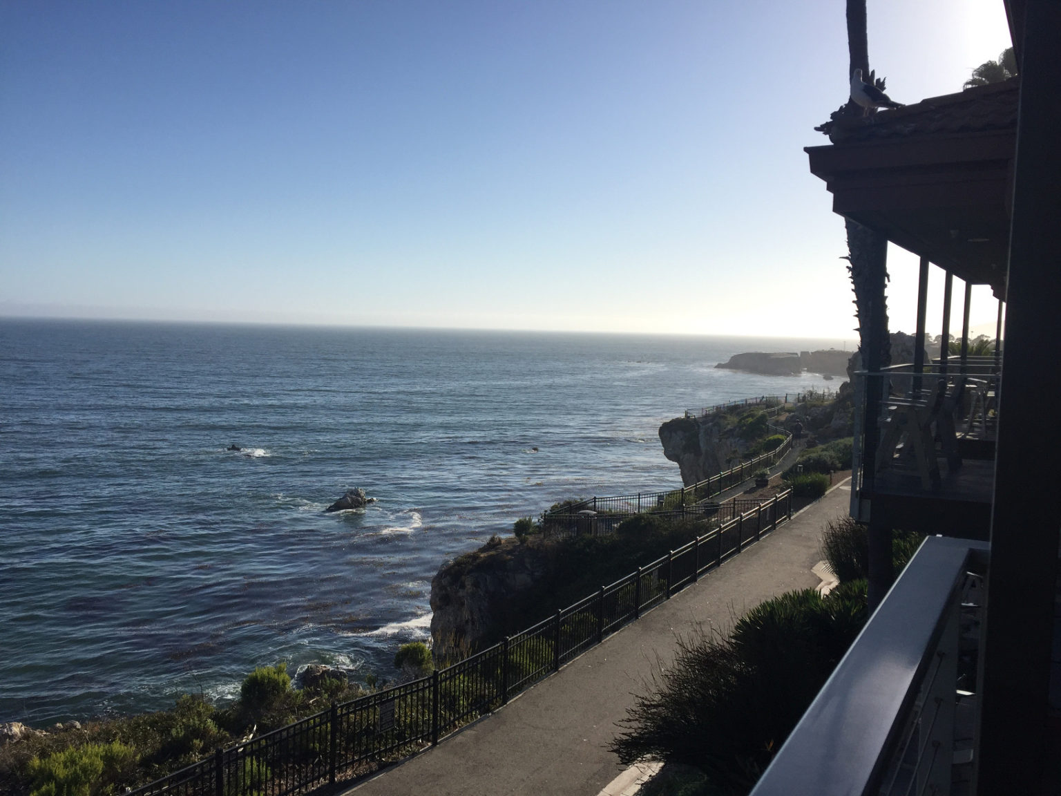 Looking for a DogFriendly Hotel in Pismo Beach? Those Someday Goals