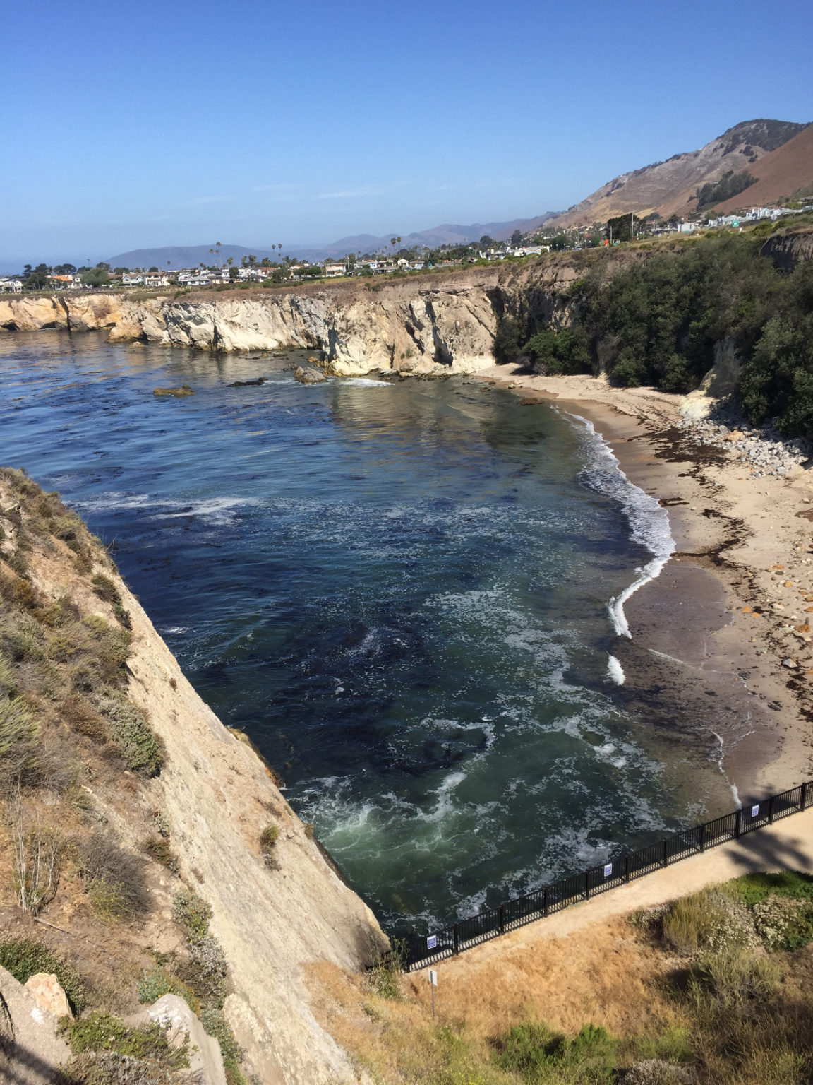 Looking for a DogFriendly Hotel in Pismo Beach? Those Someday Goals
