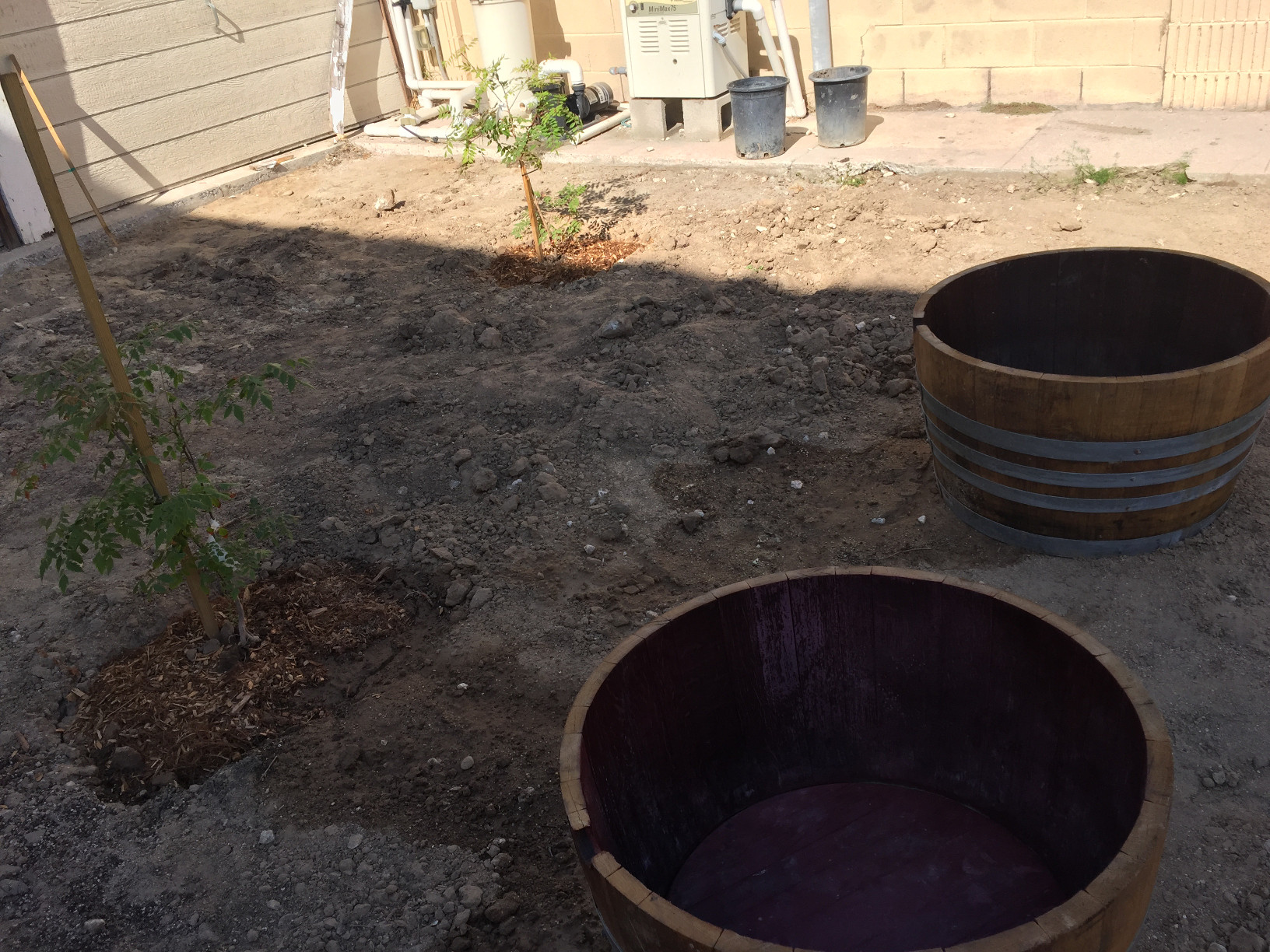 Try Wine Barrels as Large Outdoor Planters Those Someday Goals