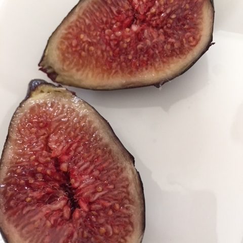 fresh figs fall recipe