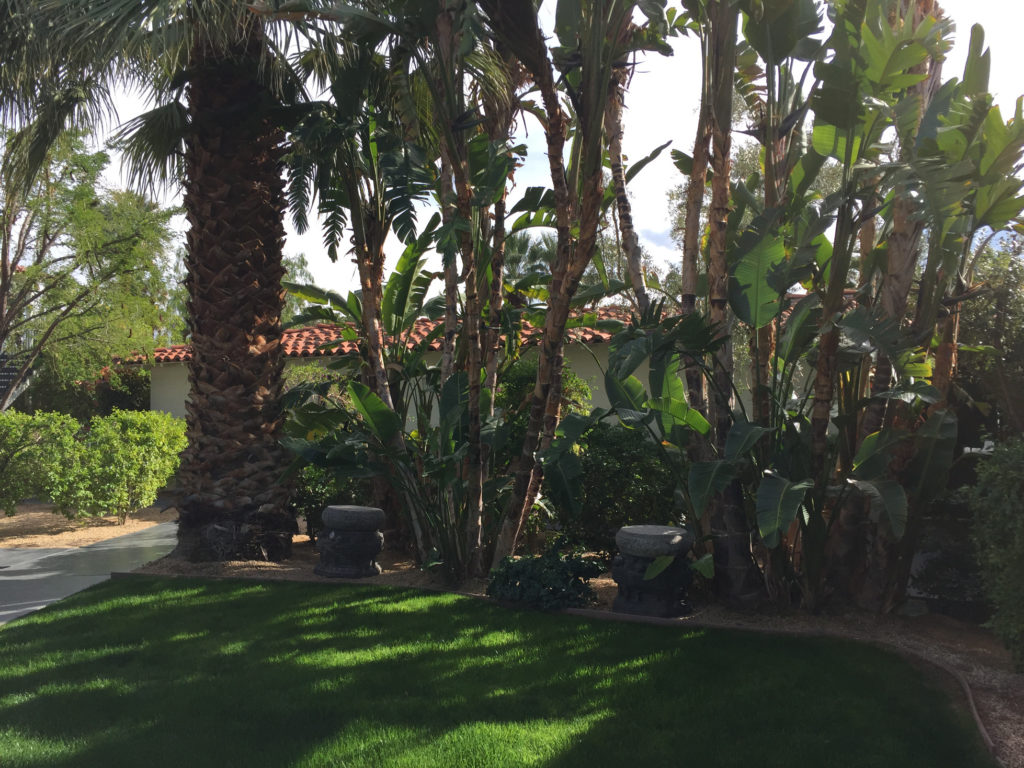 Colony Palms Hotel grounds Palm Springs California Those Someday Goals