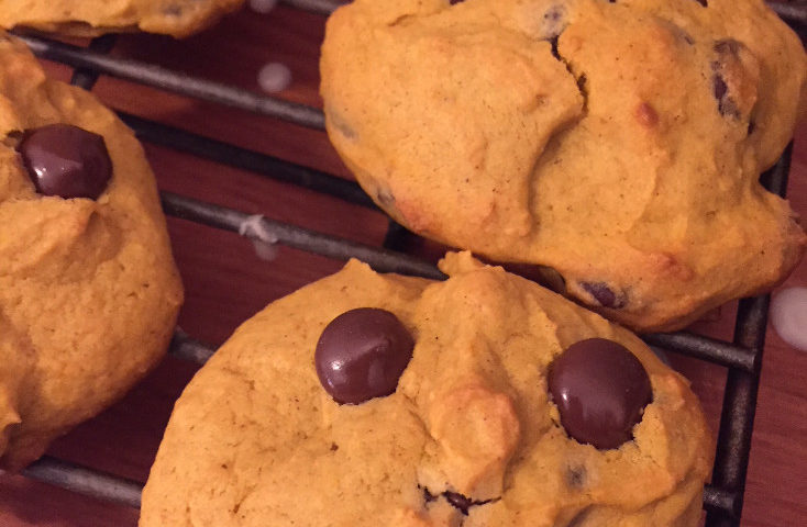 cute face soft chocolate chip pumpkin cookie those someday goals