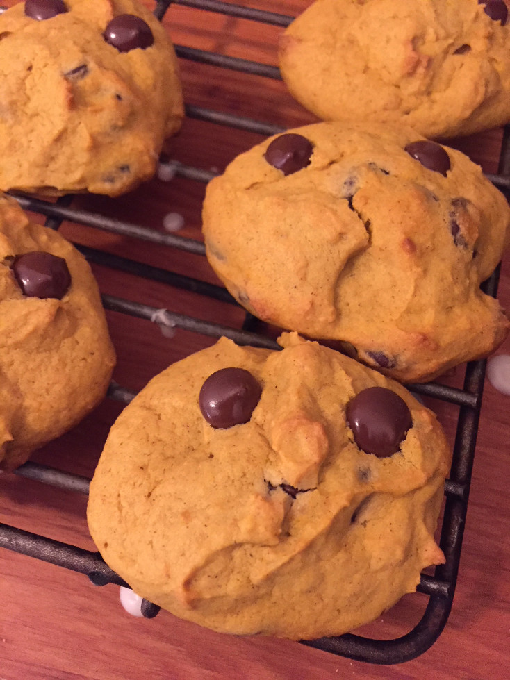 cute face soft chocolate chip pumpkin cookie those someday goals