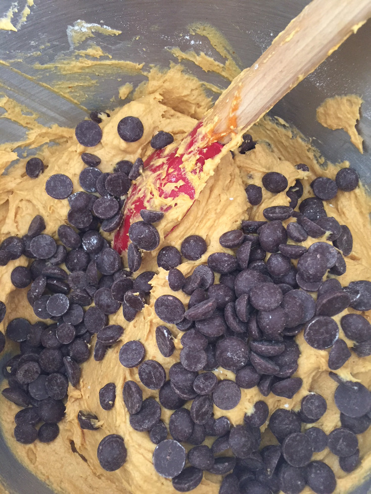 Adding chocolate chips to the pumpkin cookie mix those someday goals