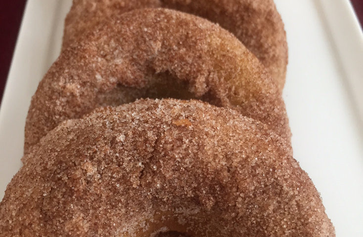 Final Coated Baked Pumpkin Donuts Recipe Vegan Those Someday Goals