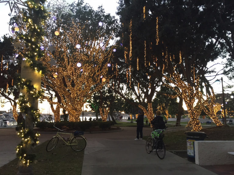 See Christmas Lights and Sea Lions in Marina del Rey, CA Those