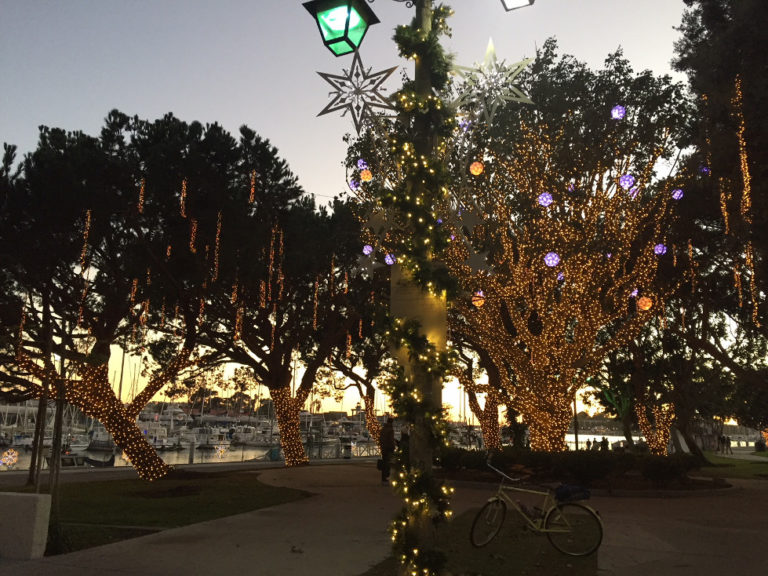 See Christmas Lights and Sea Lions in Marina del Rey, CA Those