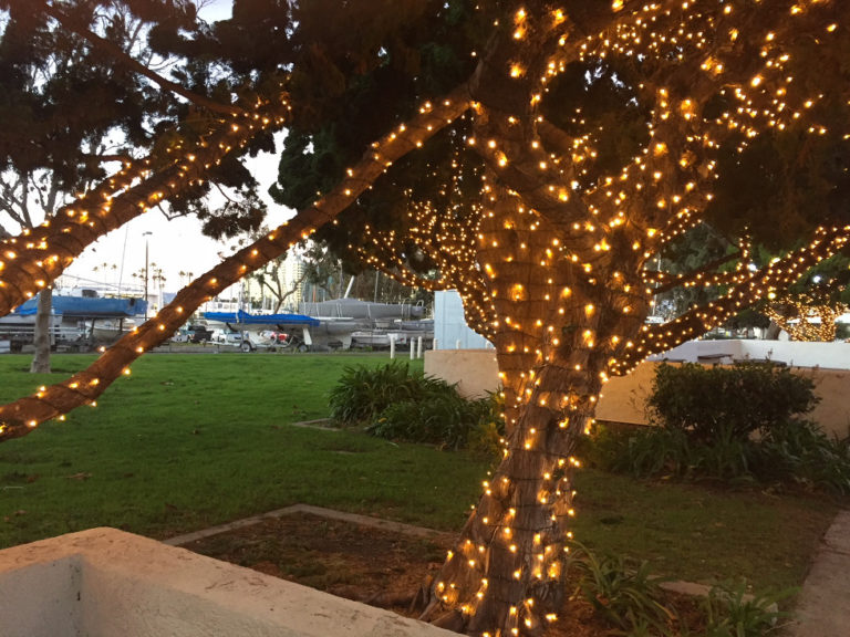 See Christmas Lights and Sea Lions in Marina del Rey, CA Those