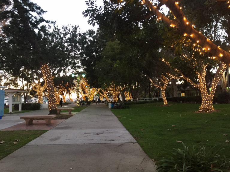 See Christmas Lights and Sea Lions in Marina del Rey, CA Those