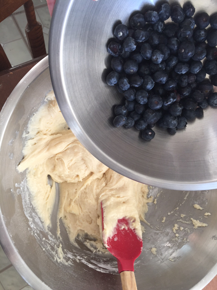 adding blueberries to cake lemon blueberry coffee cake recipe baking those someday goals