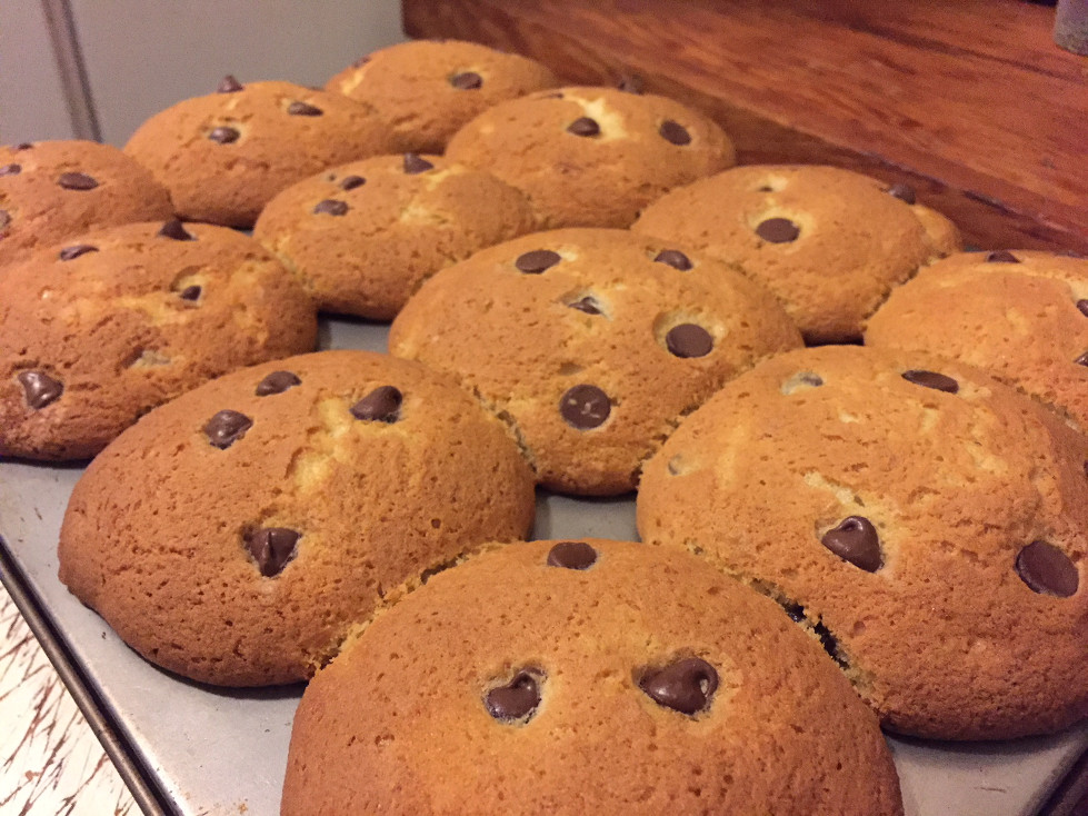 Out of the oven Banana Chocolate Chip Muffins Recipe Baking Those Someday Goals