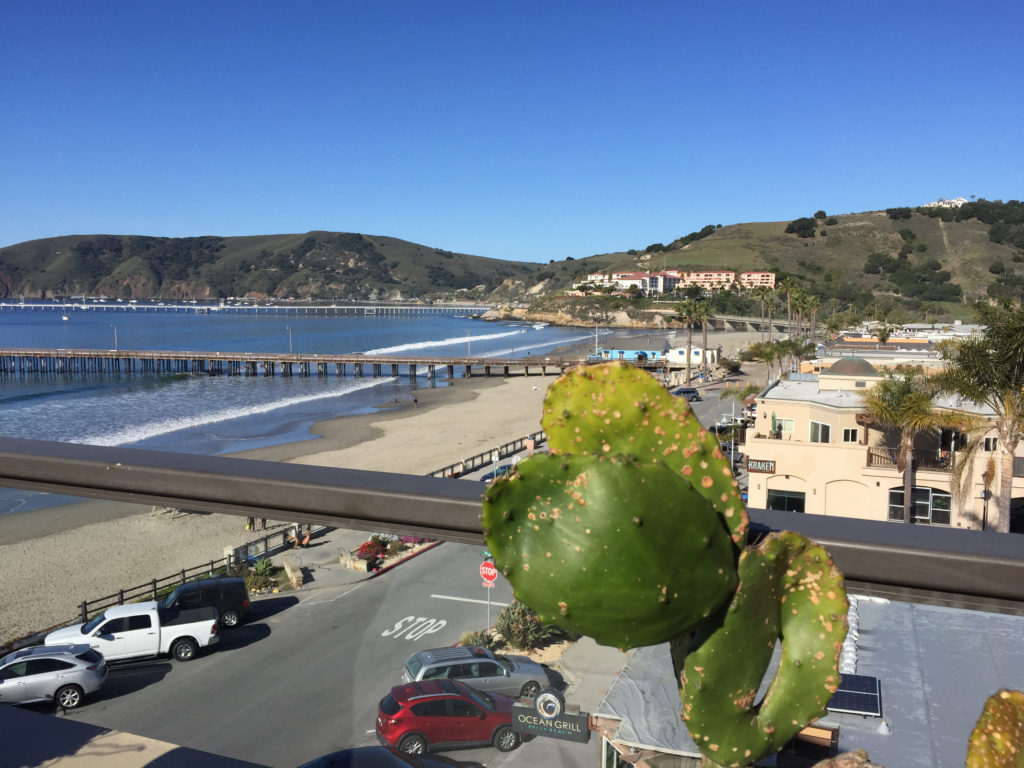 cactus views Joe Mommas Coffee Rooftop Sundeck Cafe Inn at Avila Beach Those Someday Goals