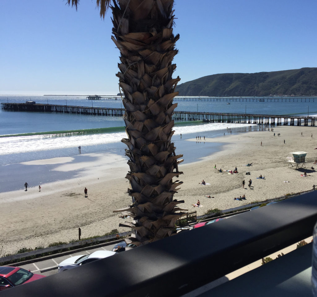 Shaded by the palm views from Joe Mommas Coffee Rooftop Sundeck Cafe Inn at Avila Beach Those Someday Goals