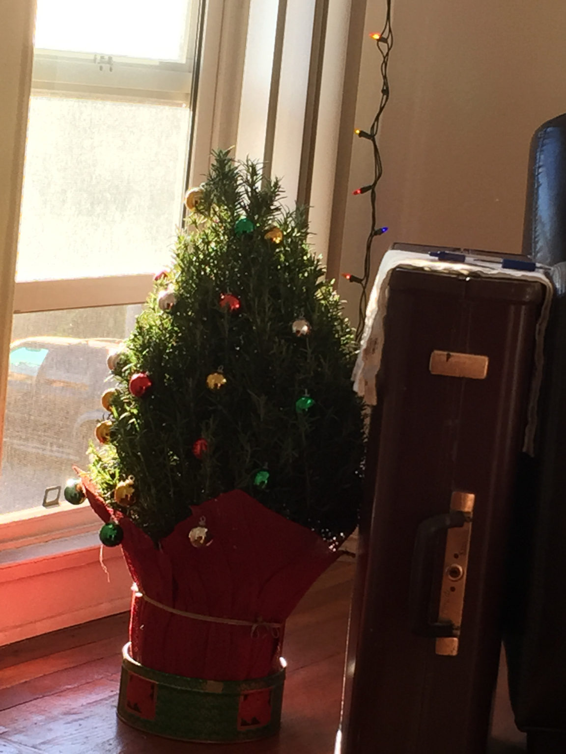 Growing Rosemary Those Someday Goals