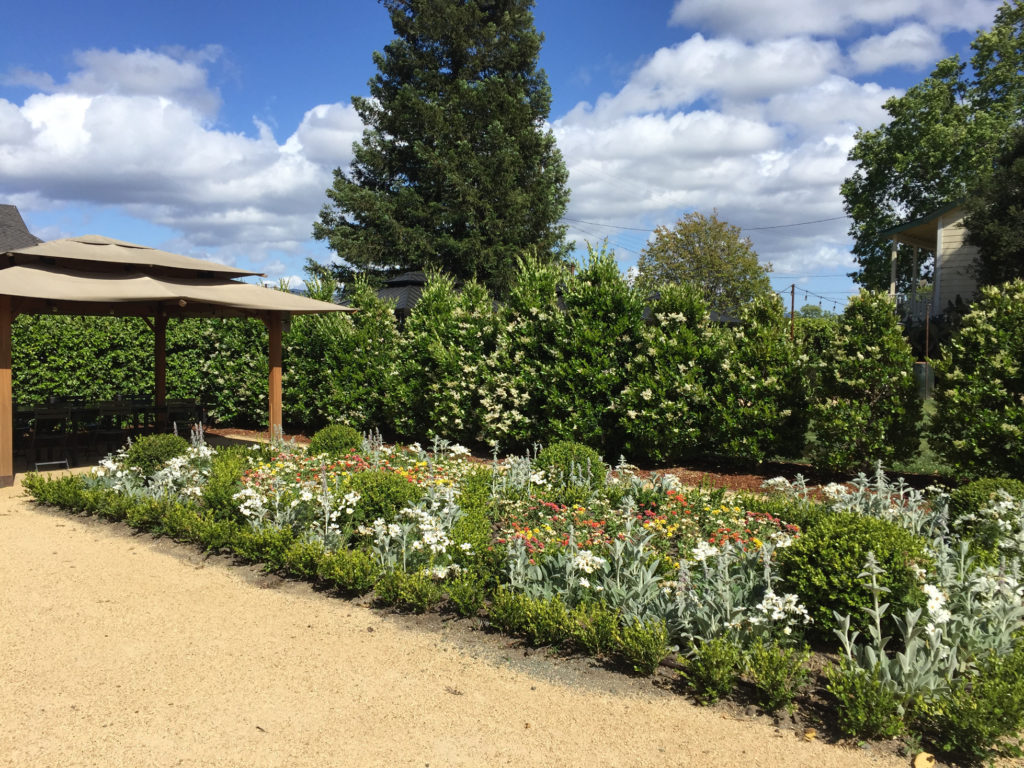 Garden Napa Valley Winery Elizabeth Spencer Tasting Room Those Someday Goals