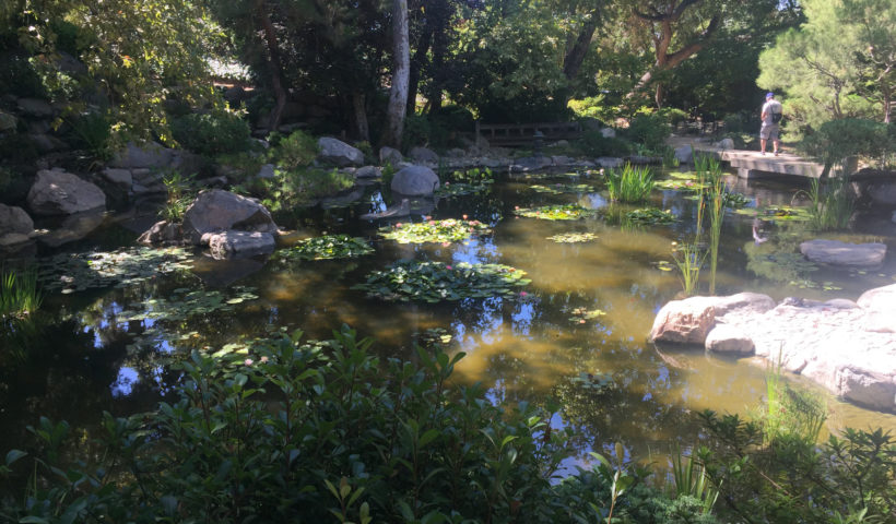 Storrier-Stearns Japanese Garden Pasadena Ponds Trees Those Someday Goals