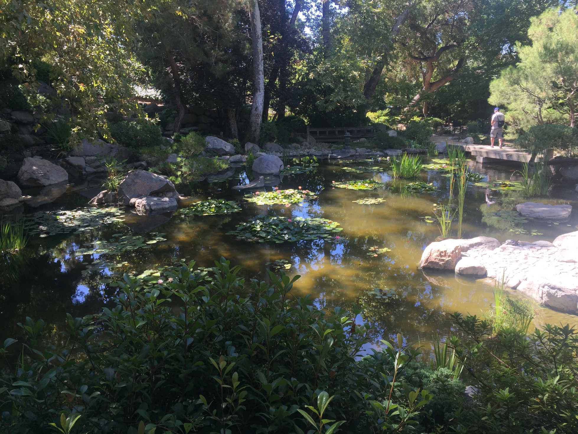 Storrier-Stearns Japanese Garden Pasadena Ponds Trees Those Someday Goals