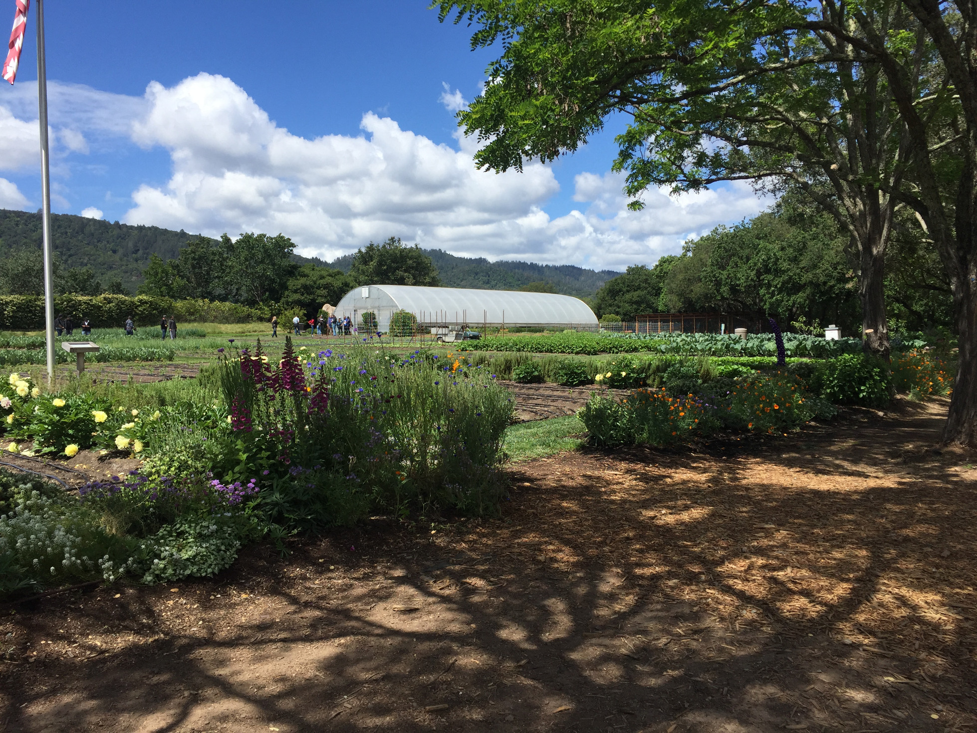 Napa Valley French Laundry Culinary Garden Those Someday Goals