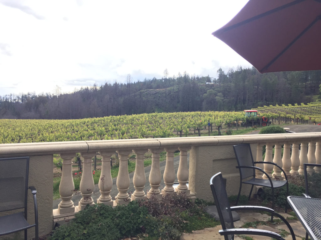 The vineyard Napa Valley Schweiger Vineyard and Winery Those Someday Goals
