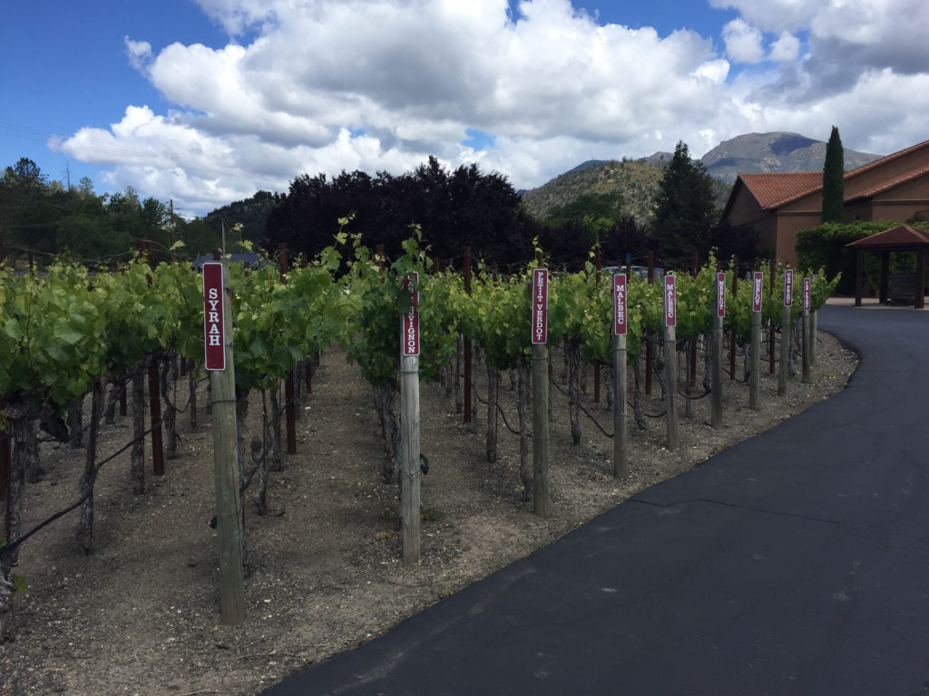 Napa Valley Wine Tasting Bennett Lane the driveway Those Someday Goals