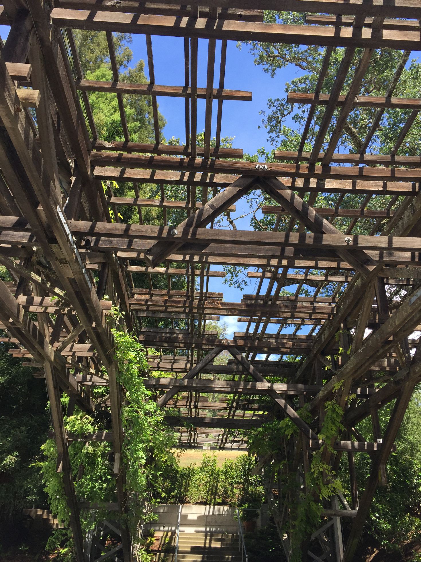 A Hot Wife'S Guide To Napa Valley Wine Tasting - u997geu