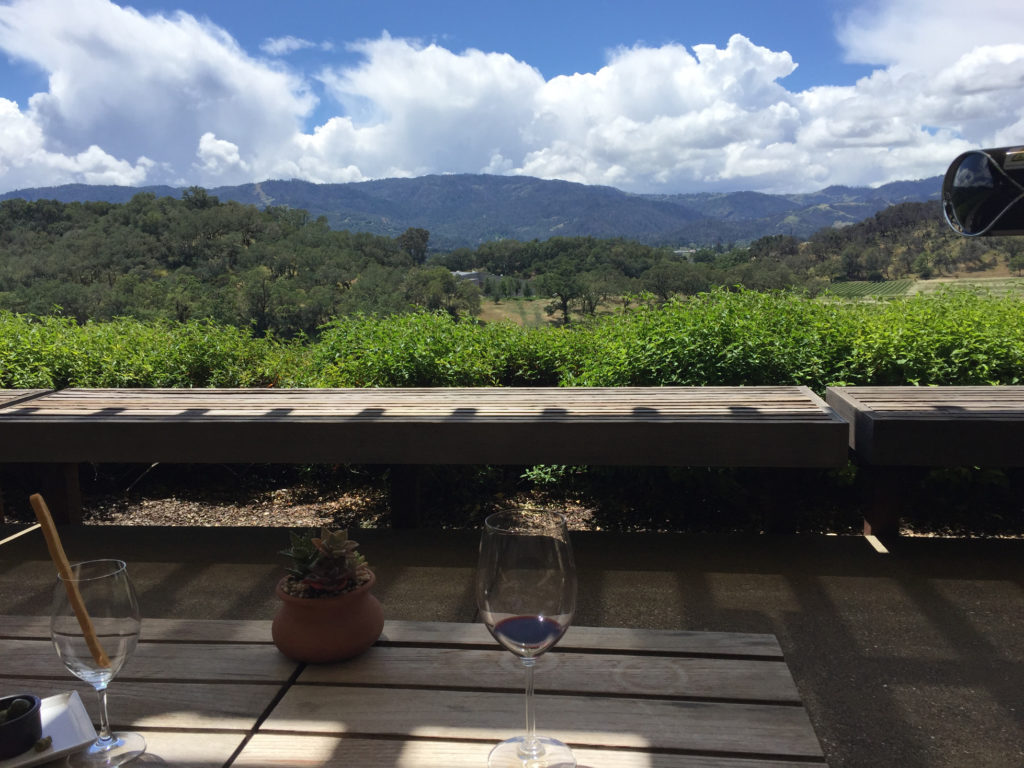 Napa Valley Wine Tasting Joseph Phelps Red Wine INSIGNIA View Those Someday Goals