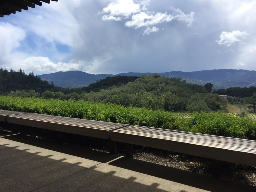 Napa Valley Wine Tasting Joseph Phelps Rain Clouds Those Someday Goals