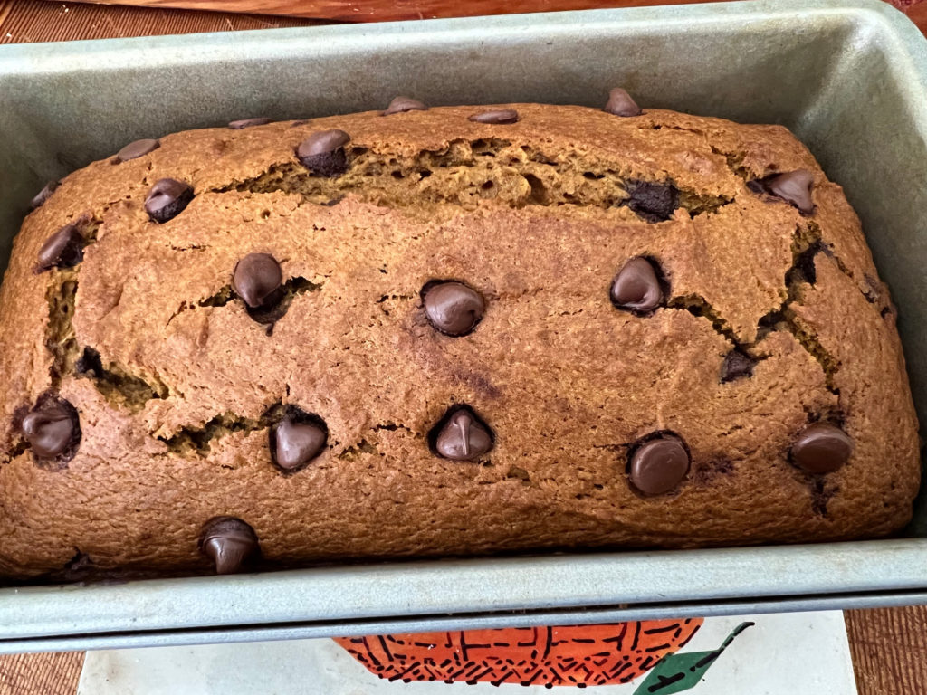 Chocolate Chip Pumpkin Bread Recipe Cooling Loaf in Pan Baking Those Someday Goals
