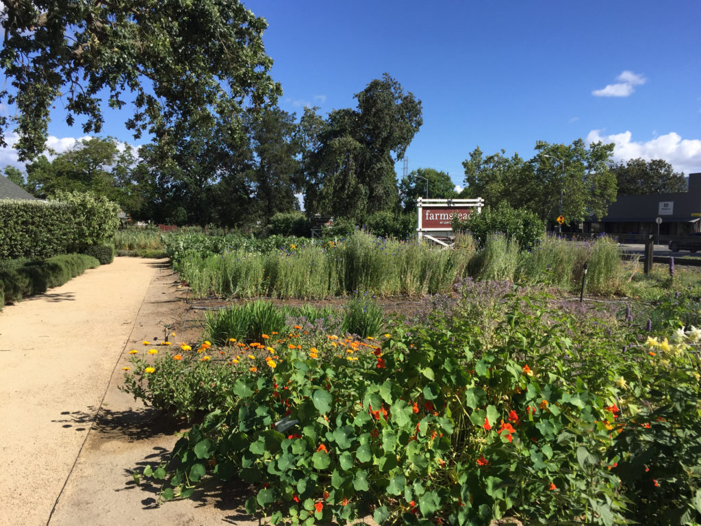 garden farmstead restaurant Napa Valley menu farm-to-table Those Someday Goals