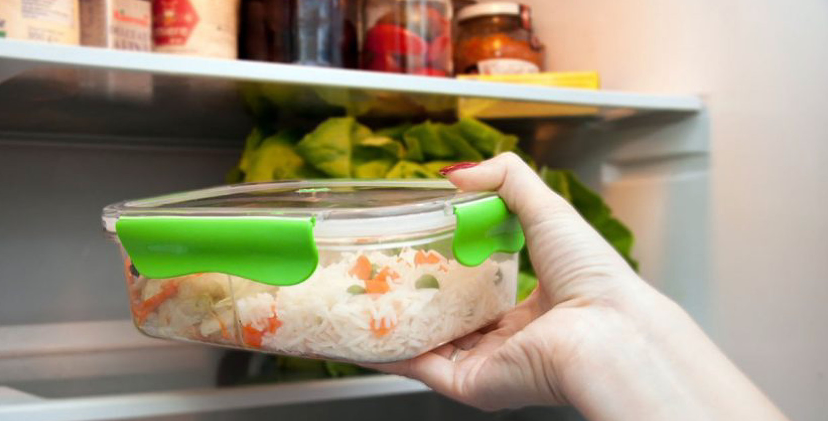 Refrigerator Interior rice leftovers Shutterstock Adrian Luca