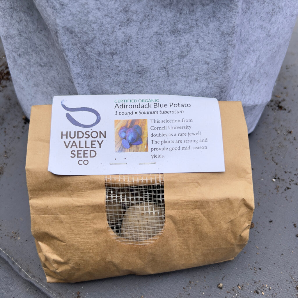 Hudson Valley Seed Co Adirondack Blue Bag Seed Potatoes against a gray background growing potatoes in grow bags Those Someday Goals