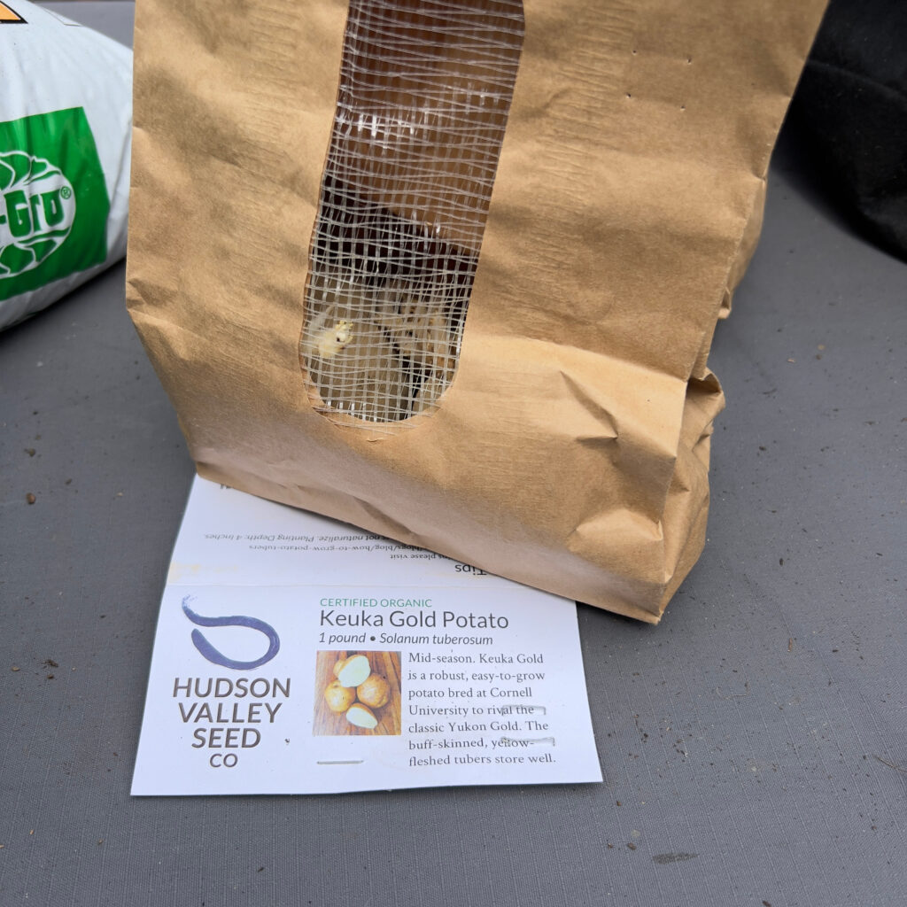 Hudson Valley Seed Co Keuka Gold in brown bag Seed Potatoes against a gray background growing potatoes in grow bags Those Someday Goals