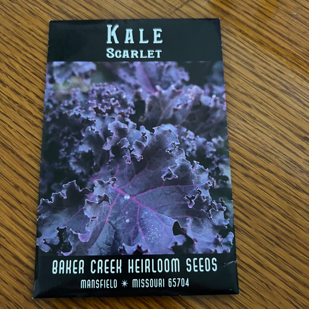 Scarlet Kale seed packet from Baker Creek Heirloom Seeds with a wood desk background Those Someday Goals