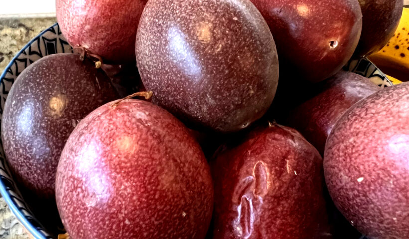 ripe purple passion fruit in a blue and gold bowl on a brown granite counter. Growing Passion Fruit in a Small Garden Those Someday Goals