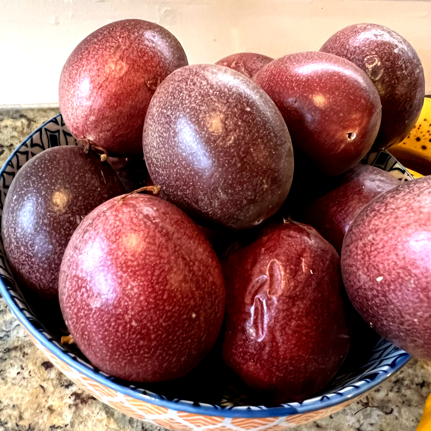 ripe purple passion fruit in a blue and gold bowl on a brown granite counter. Growing Passion Fruit in a Small Garden Those Someday Goals