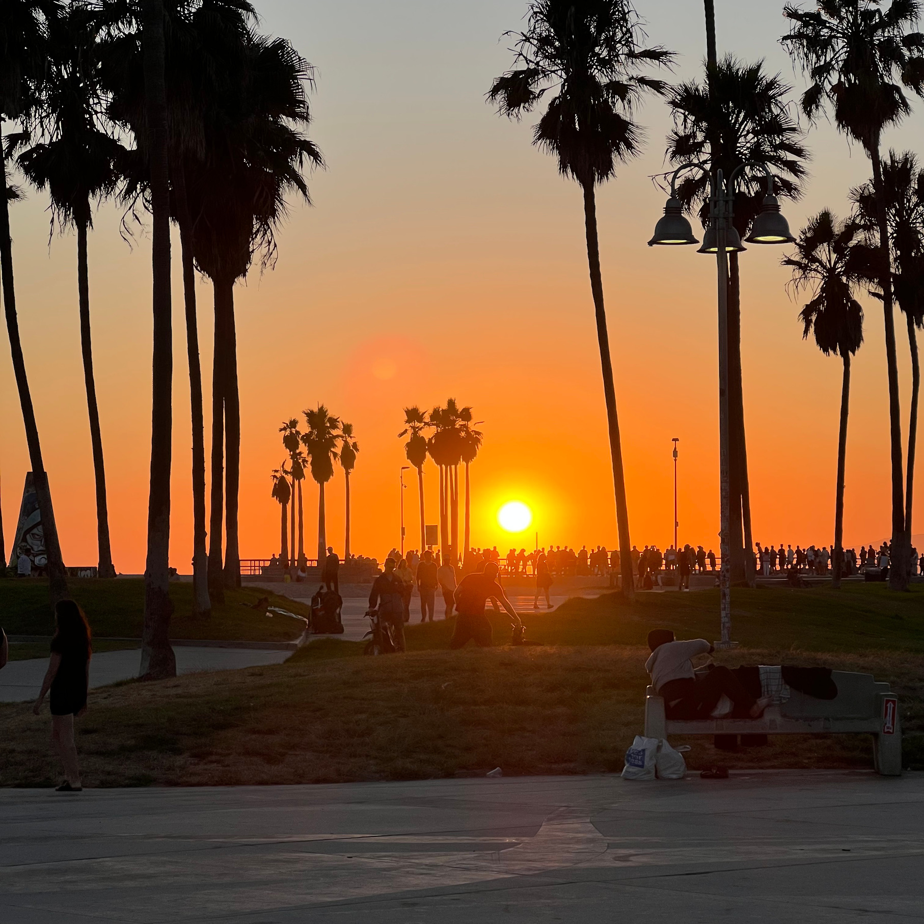 Sunset and an orange sky against palm trees with people milling in the background of Venice Beach, California Those Someday Goals Things that make me smile