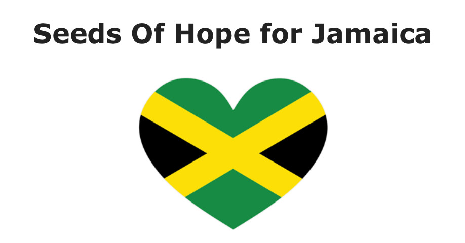 Seeds of Hope for Jamaica online fundraiser by Baker Creek Heirloom Seeds with heart for Jamaica flag Container Gardening